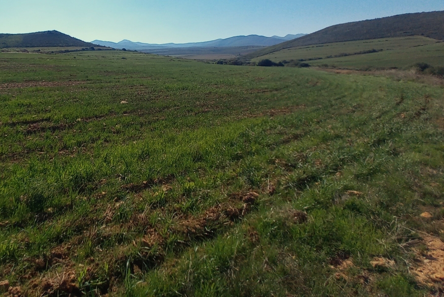 Commercial Property for Sale in George Rural Western Cape